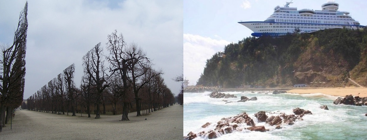 bizarre-strange-real-images-not-photoshop-8