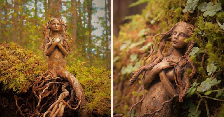 wood_sculptures_debra_bernier_cover