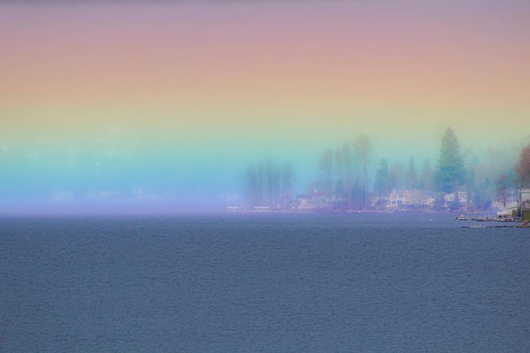 63587898-C48A-4FBC-A51E-8B098B2EE12E-798x400