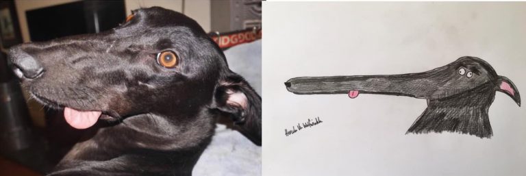 terrible-animal-portraits15