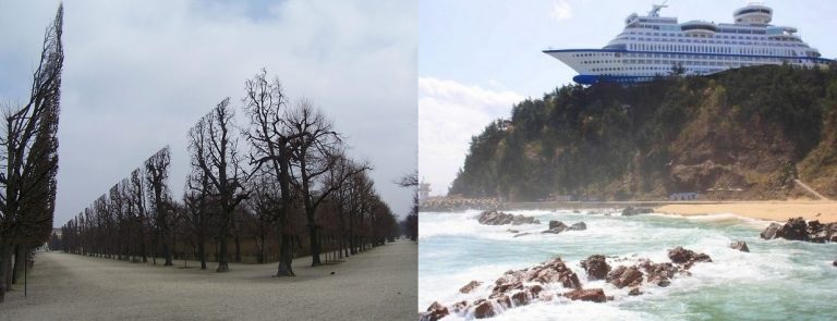 bizarre-strange-real-images-not-photoshop-8