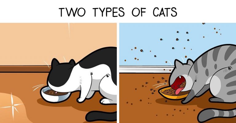 funny-cat-comics-lingvistov-1