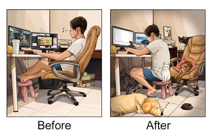 life_change_after_getting_a_pet_06