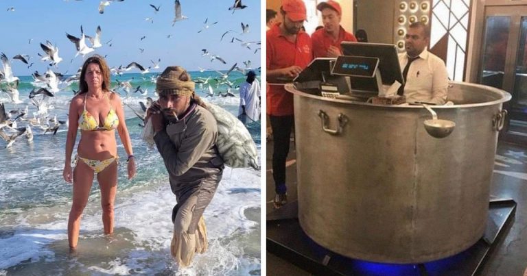 funny-images-lot-of-stuff-going-on