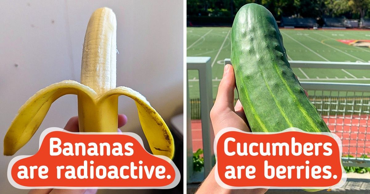 10-surprising-facts-about-ordinary-things-we-see-everyday-votreart