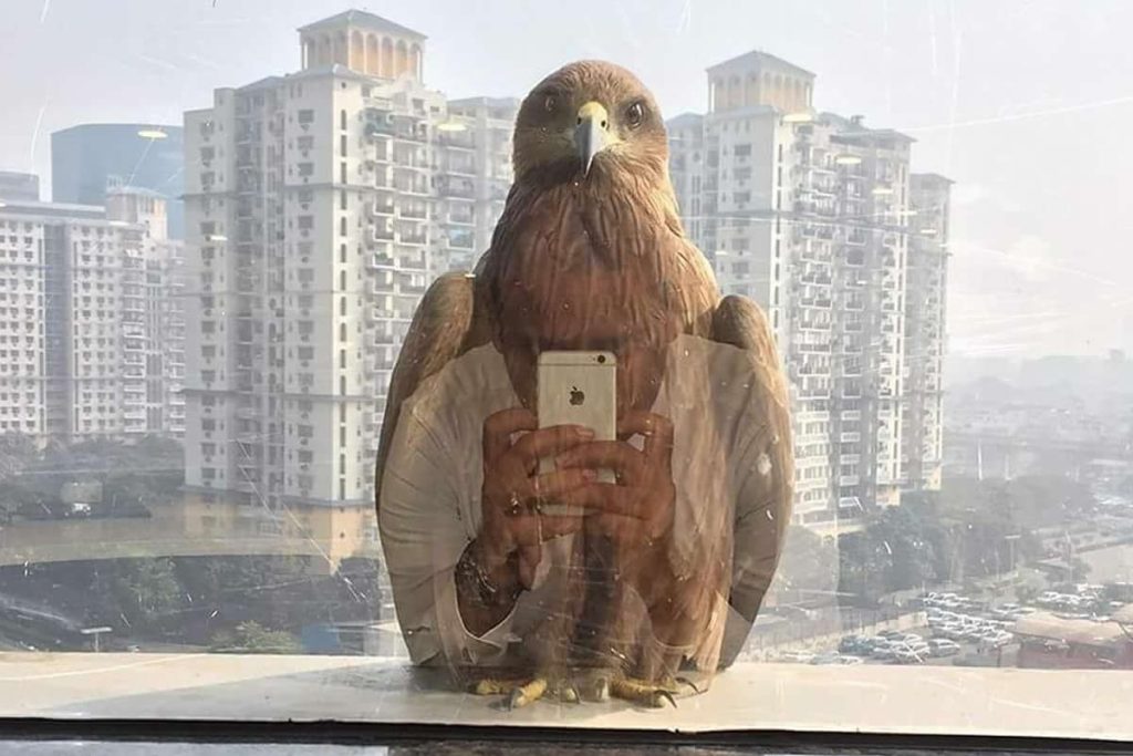 real-photos-not-photoshopped-featured