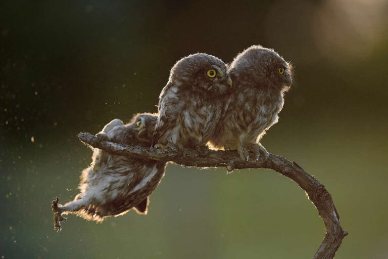 hilarious-timed-photos-featured